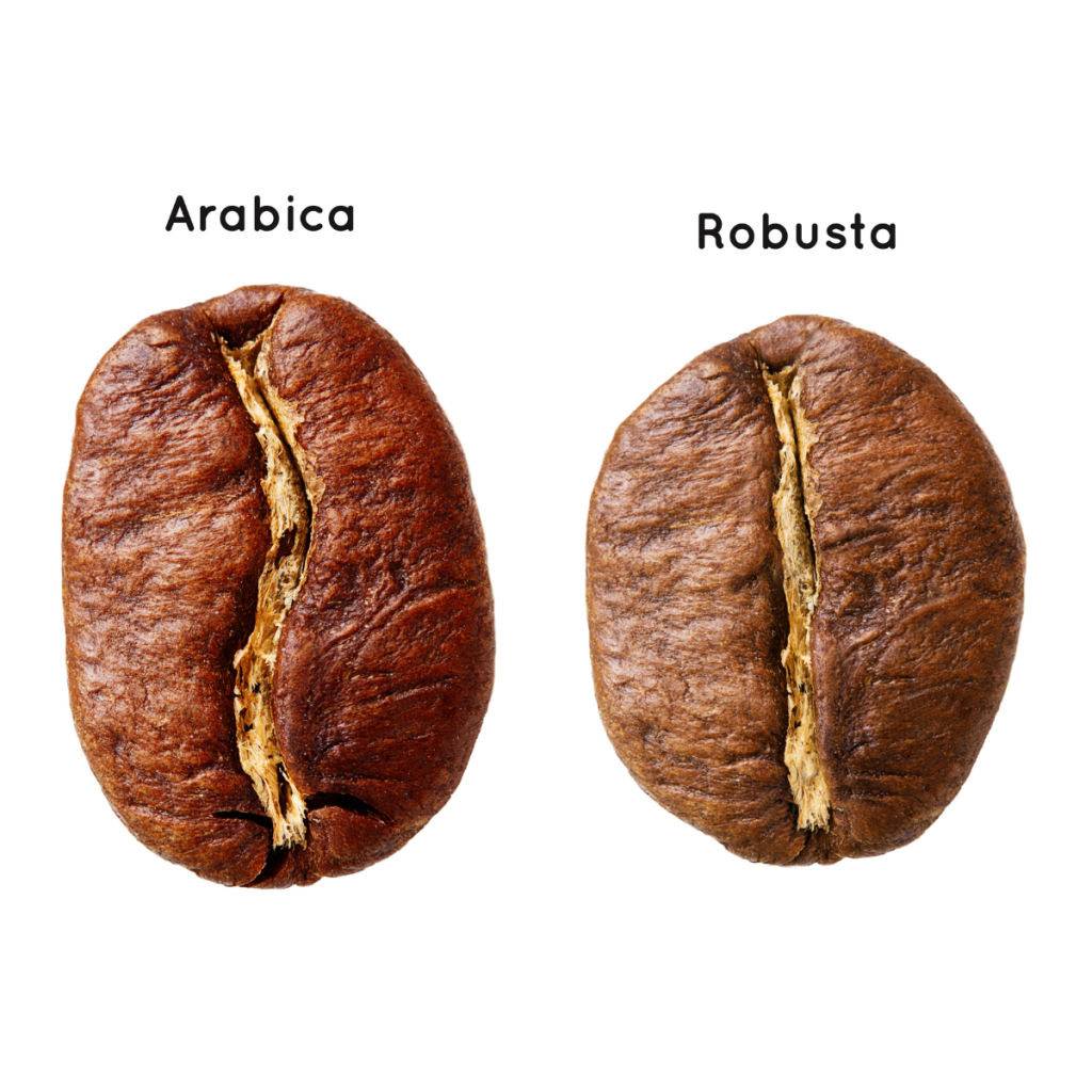 Arabica vs Robusta in 2026