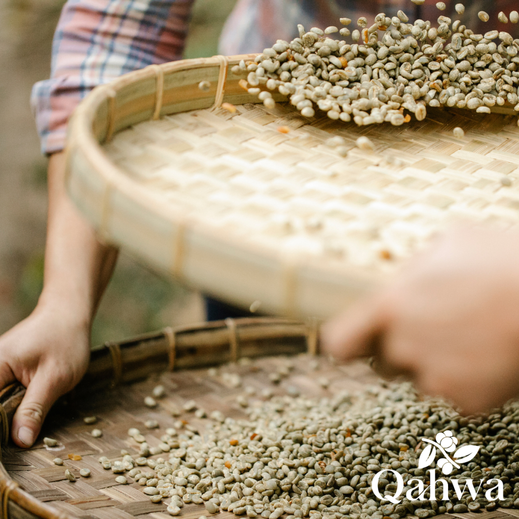 Asian Robusta, climate and logistics: why availability is not only about volume