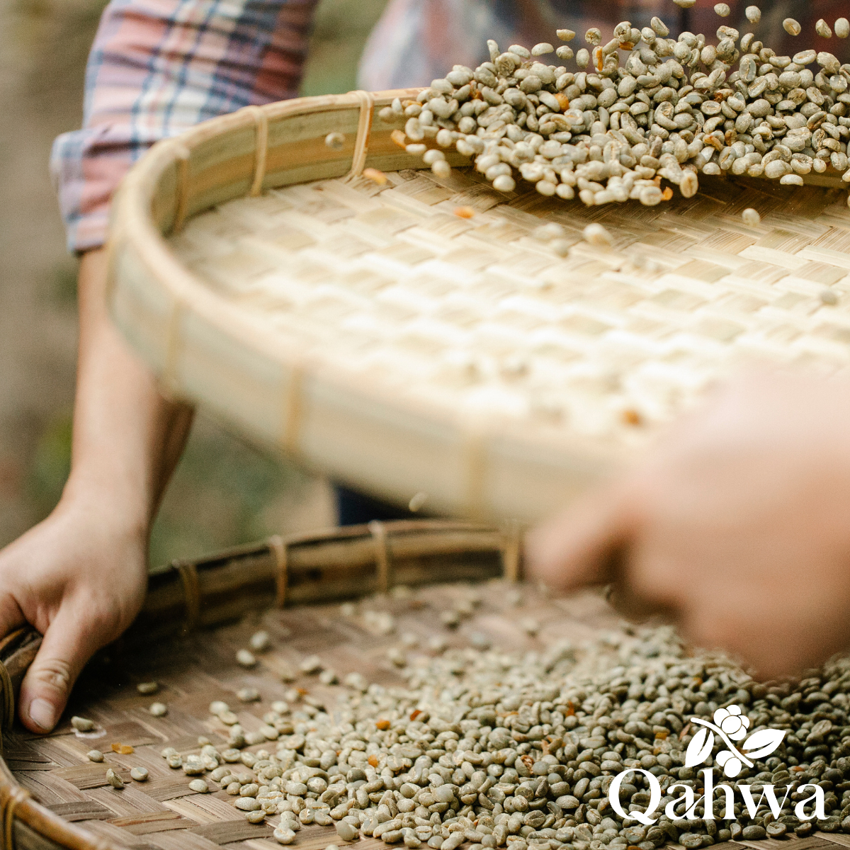 Asian Robusta, climate and logistics: why availability is not only about volume