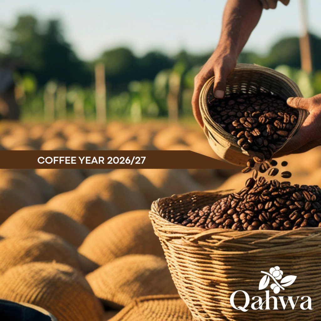 Coffee Year 2026/27: what really changes for green coffee buyers